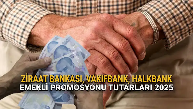 2025 Emekli Maaşı Promosyonları: Kamu Bankalarında Rekor Fırsatlar!