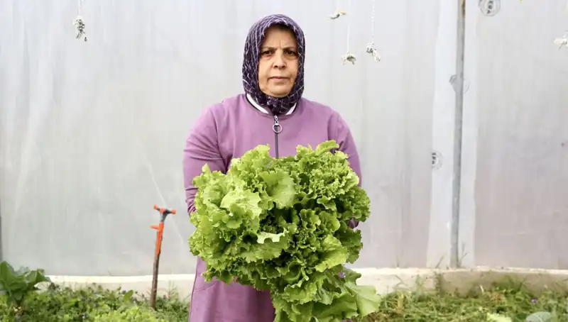 Emekli Oldu, Memleketine Dönerek Hayalindeki İşletmeyi Kurdu
