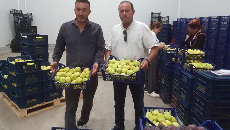 Mersinli Çiftçiler İhraçla İlgili Umutlarını Yeniliyor: 20 TL'den