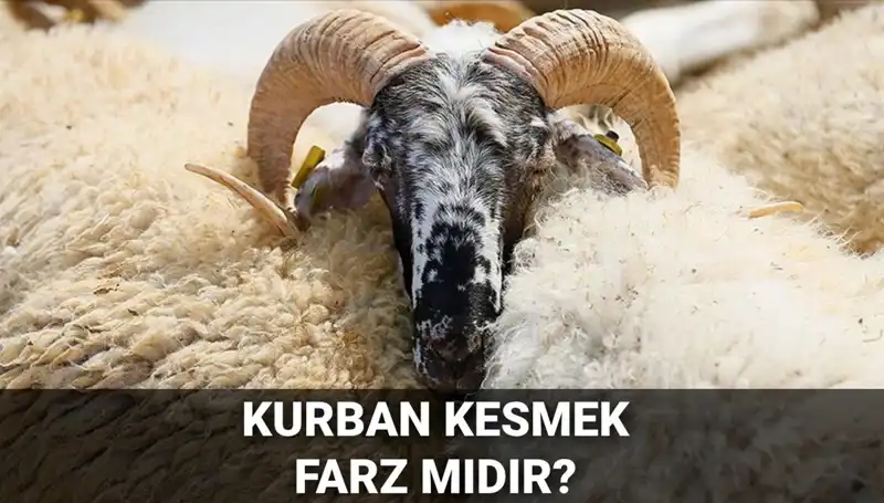 Kurban Kesimi Farz mı? Diyanet'in Görüşü ve Şartları Açıklandı