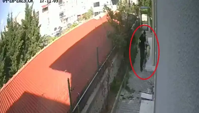 Ahlaka Aykırı Davranış: Veteriner Hekim Evdeki Köpekleri Parçaladı