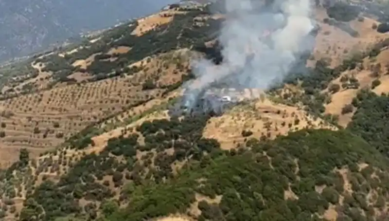 Aydın'da Zeytinlik Yangını: Tarım Alanlarında Korkutan Hasar