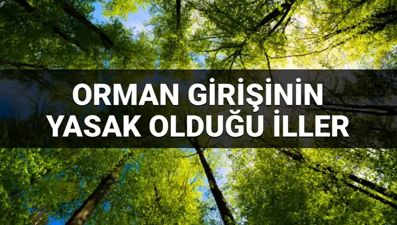 2025'te Ormana Girmek Yasak Olan İllerin Listesi Açıklandı