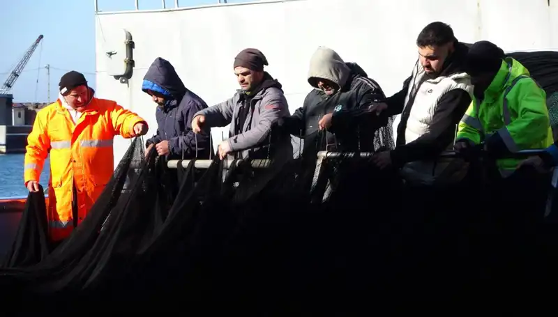 Türkiye Denizlerinde Hamsi Avı Sonlandırıldı: Balıkçılar Ne Yapacak?