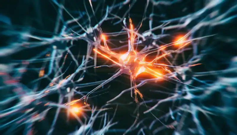 Alzheimer Vakalarında Çarpıcı Artış: Nedenleri ve Etkileri Üzerine Derinlemesine İnceleme