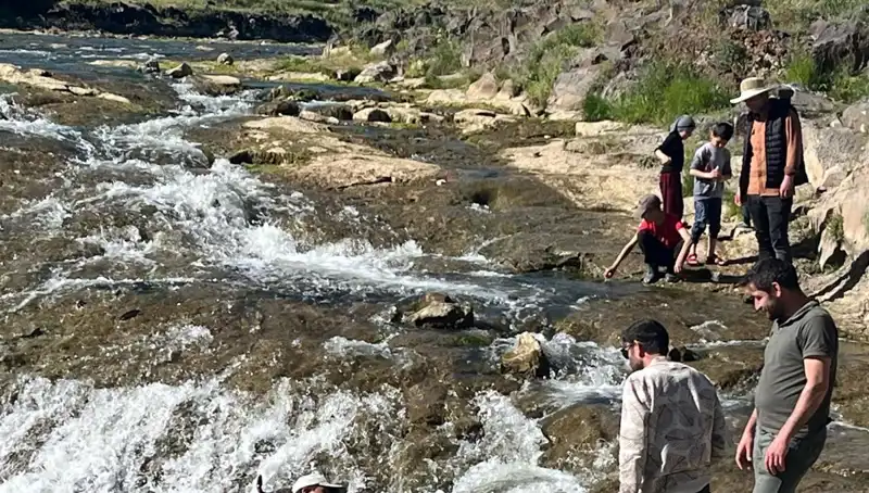 İnci Kefali Göçü: Doğa Harikasına Tanıklık Eden Turistler Büyüleniyor