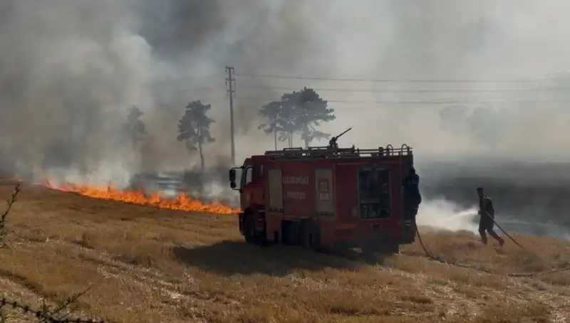 Kırklareli'nde Anız Yangını: Tarım Alanlarını Tehdit Eden Felaket
